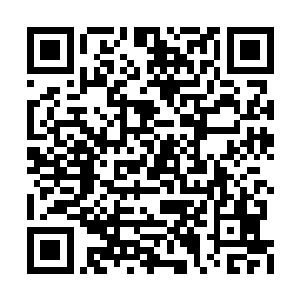 落在来往的农人眼中仿佛看到了秋日的金黄收获二维码生成