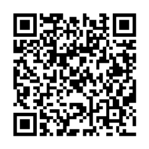 落在腰上那双根本环不住只能轻揪着他衣摆的小手二维码生成