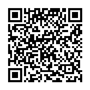 落地霎那隐去眉心法相的瞬间都显示出五人皆乃彩莲修士二维码生成