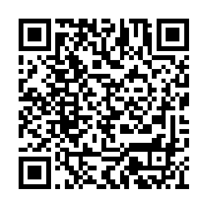 落日家的那些长老也没想到疯子居然这么难对付二维码生成