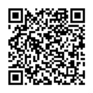 落日王国的神级强者和高级圣级强者已经很多年不出世了二维码生成