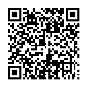 落虹宗……所有与战荒阁对立的宗门都如热锅上的蚂蚁二维码生成