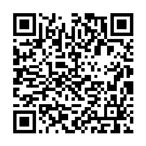 落阳刚开始还温吞吞地和对方你来我往的斗在了一起二维码生成