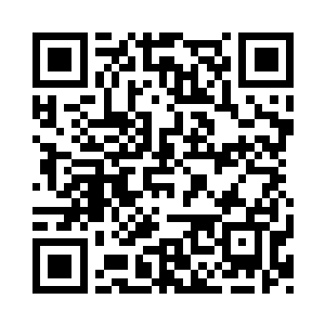 落阳和剩下的七大宗门七个人尊期大修士二维码生成