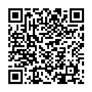 葛大炮这家伙又在听小智讲那些嫂子与饺子的吃鸡段子了二维码生成