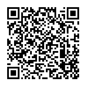 葛秋烟拿着一颗鸽子蛋大小的东珠在寻思给自己打一件什么样的首饰二维码生成