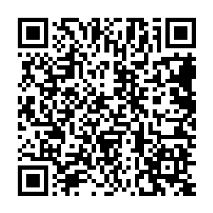 葡萄根本不是像边学道平时见到的那种爬在比人还高的葡萄架上的二维码生成