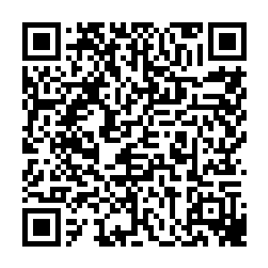 董事长根本不听自己的解释反倒咨询起一看就知道没经历过什么大场面的小白脸二维码生成