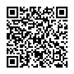 董卓看到就连耶律虹材这头掉光牙齿的老虎也细眯起眼二维码生成