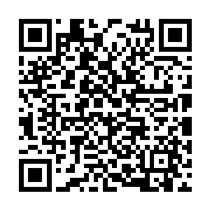 董卓还有各地诸侯都不敢在这个敏感时期大起兵马二维码生成