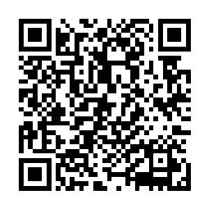 董夫人会把那对手钏和几个镶着最贵重的宝石首饰收到囊中二维码生成