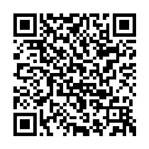 董小一姐怎么说也是君二爷亲口承认过的女朋友二维码生成