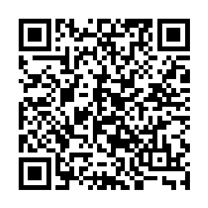 董小忍只看到坐在她身边的君陌非这会儿拿出了手机二维码生成