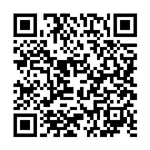 董强怎么也没有想到他这一次到天霜城竟然有如此奇遇二维码生成