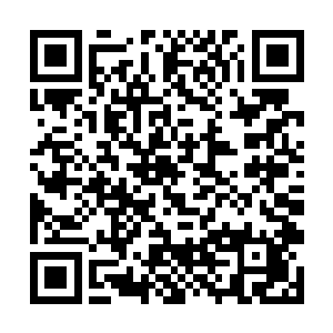 董昭以及那一干将领虽然刚才已在曹仁口中有所预料二维码生成