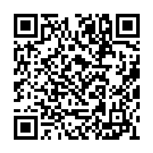 葱白的小手跟犯错的孩子一样下意识的玩着衣带二维码生成