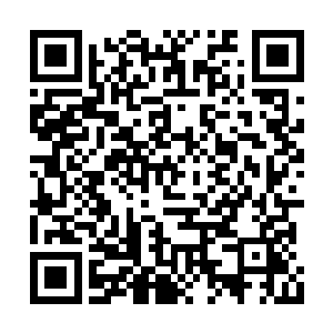 蒂伦夫人呆呆看着身上遍布红色鳞片的伊莎蓓尔二维码生成