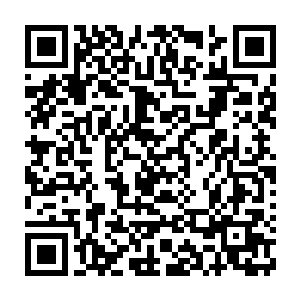 蒂姆·库克很缜密的环绕了所有会议室内跟虚拟屏幕上的高管表情一眼二维码生成
