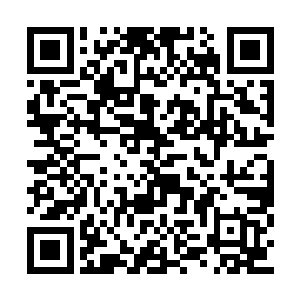 蒂姆在那个区域里看到了饰演辩护律师的罗伯特二维码生成