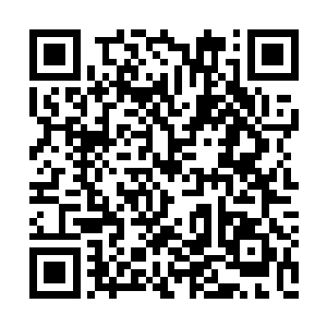 蒂姆并没有用大量的镜头去展现马修内心的错杂二维码生成