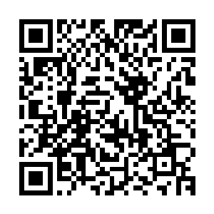 蒂娜猛地张开嘴……她使出全身力气想要用尖叫将恐惧发泄出来二维码生成