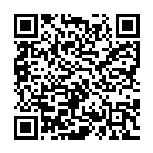 蒂莫・布劳尔更是露出了厌恶的表情――所以说他讨厌中国人二维码生成