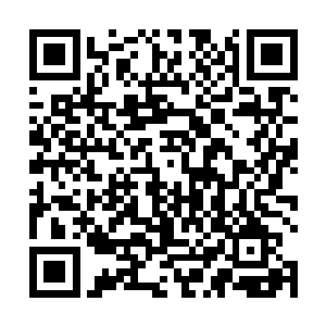 蒋云知道赵虎既然能够取得联邦大学初试第一名的成绩二维码生成
