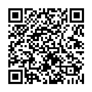 蒋天生冲还在对孙立超拳打脚踢的七八个小弟一声大吼二维码生成