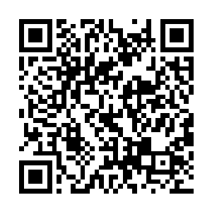 蒋方舟和蔡大奎和陆卿乔荞一起吃过的晚饭才领着英镑离开二维码生成