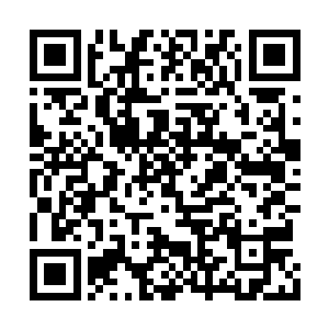 蒋方舟和蔡大奎领着孩子在外面散步还没回来呢二维码生成