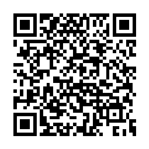 蒋晨对乔建国张丽敏也不是全然没有任何感情的二维码生成