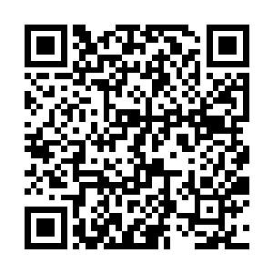 蒋梦蝶很不赞成自己姐姐要为丁长生生孩子这个想法二维码生成