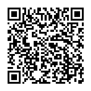 蒋欣在地球上唯一放心不下的便是家中的父母和大学未毕业的弟弟二维码生成
