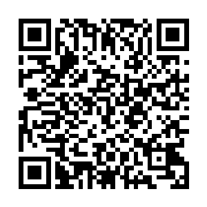 蒋源里按照林烽说的方法再一次朝着这些妖兽招呼了过去二维码生成