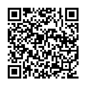 蒋百里简单地说了一下关于这次战斗的布置情况二维码生成