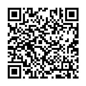 蒋芳倩不漂亮也没什么气质可生的这个儿子很会长二维码生成