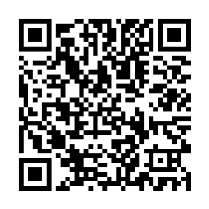 蒙不灭立刻取出蒙城地区的地图铺在茶几上查看起来二维码生成