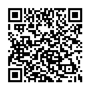 蒙在其身躯上布满撑裂纹路的表皮终于不堪拉扯二维码生成