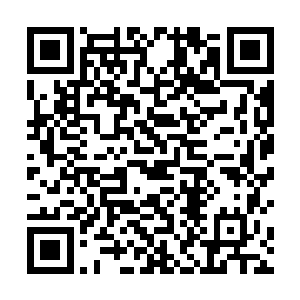 蒙婆的攻击就是追求天道的修真者最为正统的攻击方式二维码生成