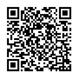 蒙达带领着自己的山地猎人部落一直在附近的山区放猎二维码生成