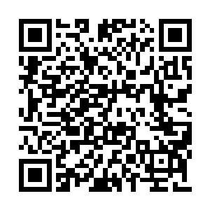 蒲燕都是要坐上早已经准备好的桑塔纳迅速过来二维码生成