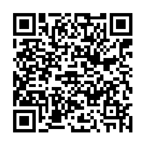 蓝名家族的老家主已经完全放弃了虎口夺食的想法二维码生成