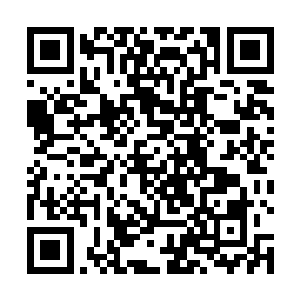 蓝国华就对这个有些近乎于奇迹一样的入物充满了向往二维码生成