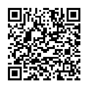 蓝子夜和夜沐寒在海面船只上附庸风雅的听了一上午的曲儿二维码生成