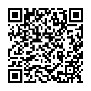 蓝彩蝶目光瞟了眼被星彩间抱在怀中的那柄古剑二维码生成