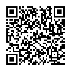 蓝星童弯起眼睛捏住她的下巴亲了一下粉红的软唇二维码生成