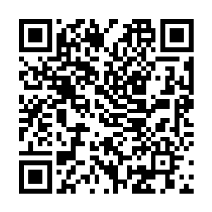 蓝柏迅速准备很快就将饮品和点心之类的东西摆放到位二维码生成