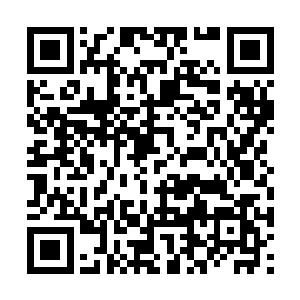 蓝洛凤毫无疑问是个绝对相信自家宝贝女儿的妈妈二维码生成