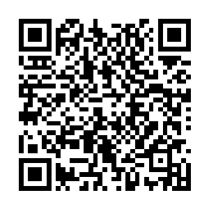 蓝海看见其他的觉醒者在尝试着脱离零城无果之后二维码生成