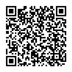 蓝白色的抹胸加上迷你超短裙一出场就引起了在场的所有男观众不停的尖叫二维码生成